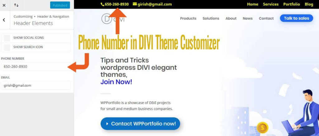 Phone Number and Email in DIVI Theme Customizer